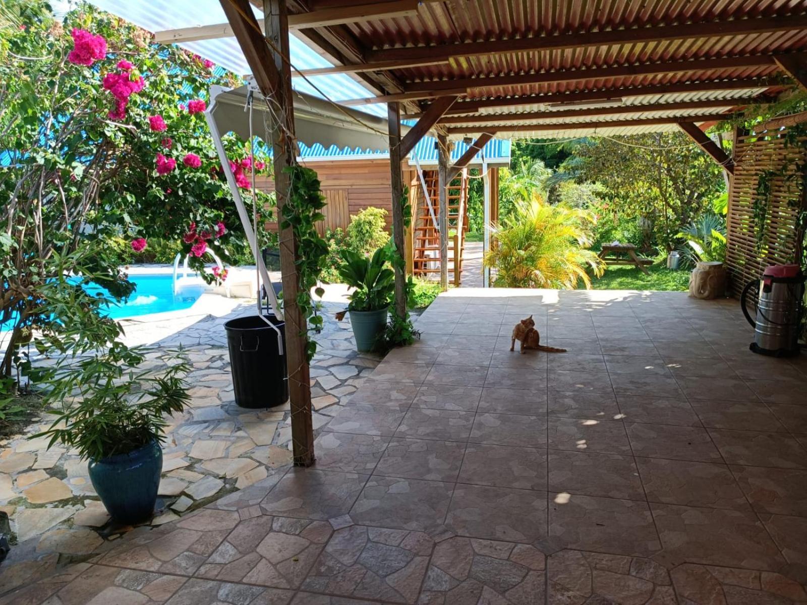 Les Gites Du Sud - O Naturel Gourbeyre Exterior photo